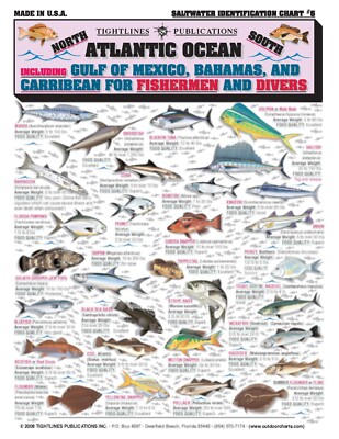 Atlantic Saltwater Fish Identification #5 - Waterproof Quick Reference Guide