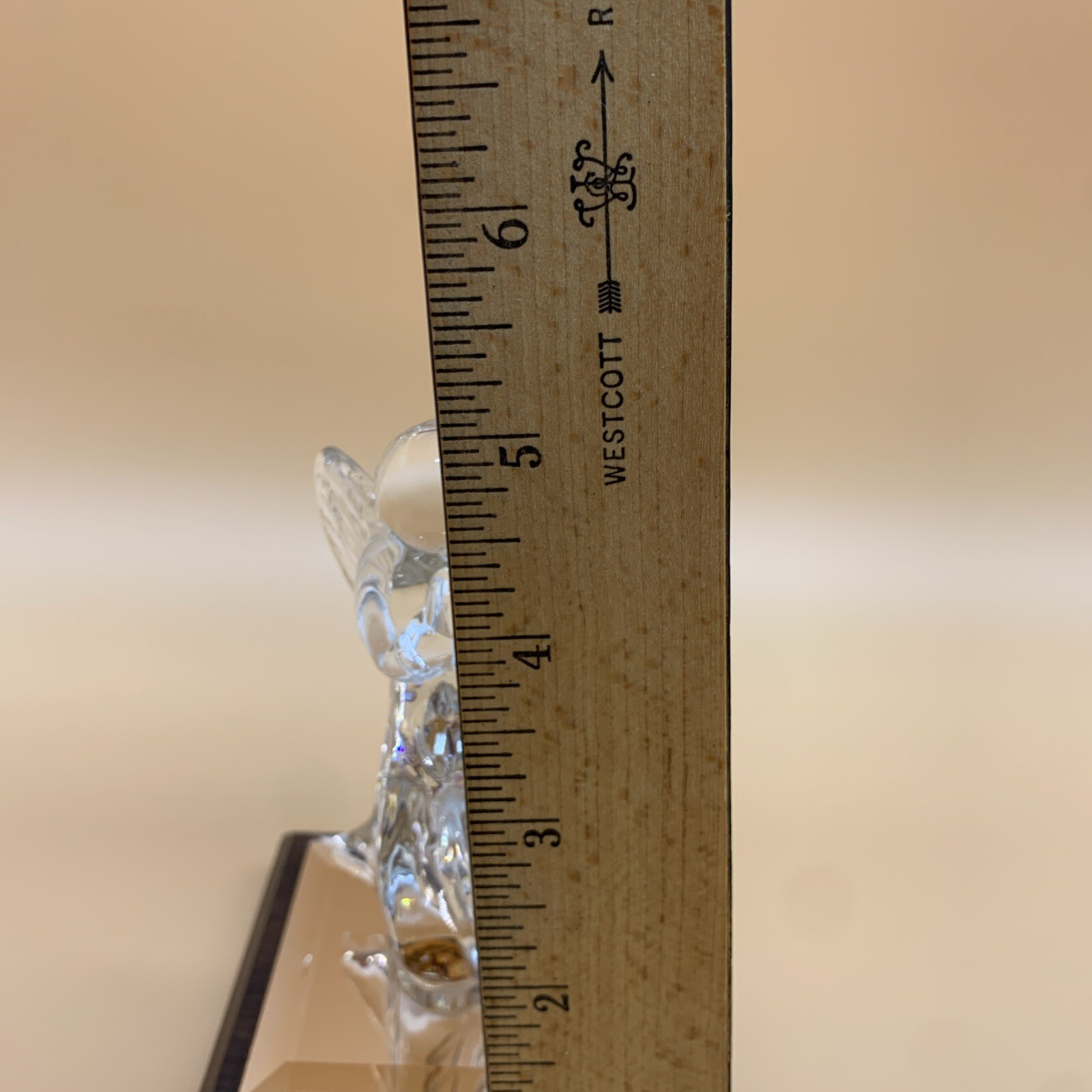 Picture 18 of 18