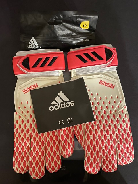 predator 20 training
