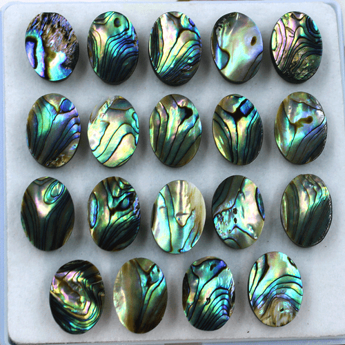 Lote de 19 piedras preciosas calibradas cabujón ovalado de grado superior de abulón natural de 18 mm x 13 mm - Imagen 14 de 15