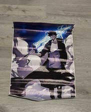 Solo Leveling Jin Woo Sung Leinwandposter