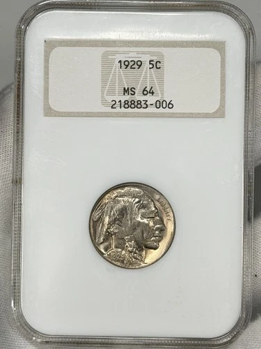 1929-P 5c Buffalo Nickel NGC MS64 Indian Head Five Cents Philadelphia Coin