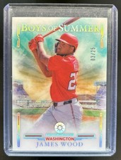2025 Panini Boys of Summer James Wood Holo Silver #/25 Nationals