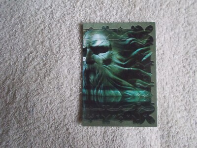 Panini: Harry Potter Evolution 2022 ''MAGICAL PLACE'' #294 Trading Card