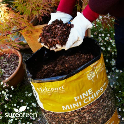 Pine Mini Chips Bark Mulch | 60L | Melcourt | Suppresses Weed Growth