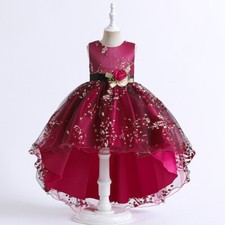 Girl Kid Princess Flower Mesh Dress Fairy Ballgown Sleeveless Summer Performance