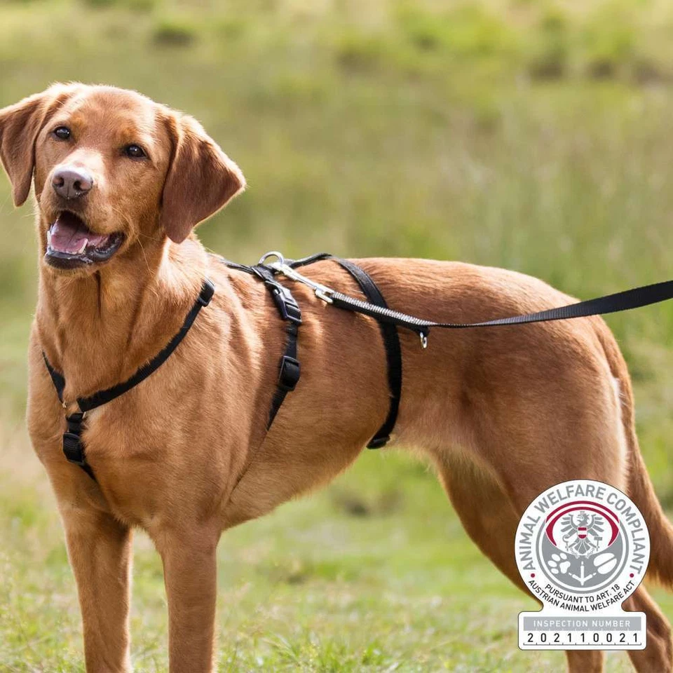 Pettorina per cane antipanico antifuga Trixie Stay rinforzata regolabile S M L - Immagine 2 di 2