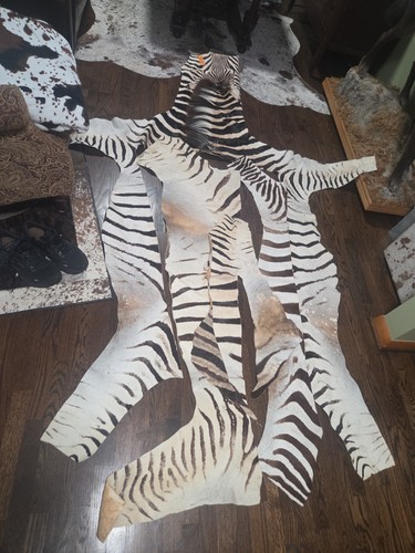 Authentic Zebra Skin Craft Parts