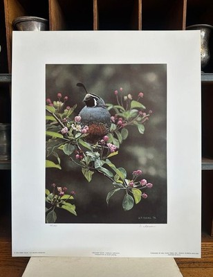 Terry Isaac Orchard Quail Limited Edition Art Print New Birds Flowers Decor