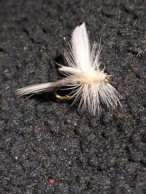 WHITE MILLER SIZE 18 CUSTOM TIED DRY FLY FRONTIER FLY COMPANY 