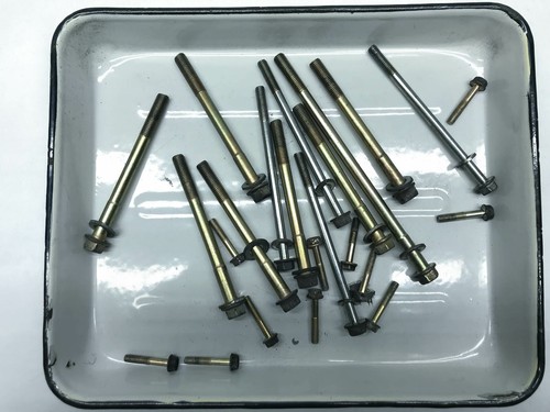 Honda GL1800 Gold Wing Kurbelwelle Schrauben Crankcase Bolts Screws (2) 03'