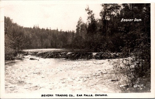 Beaver Dam Severn Trading Co. Ear Falls Ontario Canada RPPC - Foto 1 di 2