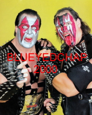 DEMOLITION AXE & SMASH WRESTLER 8 X 10 WRESTLING PHOTO WWF | eBay