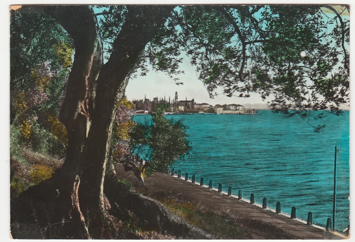 TORRI DEL BENACO - VERONA - LAGO DI GARDA -20571-