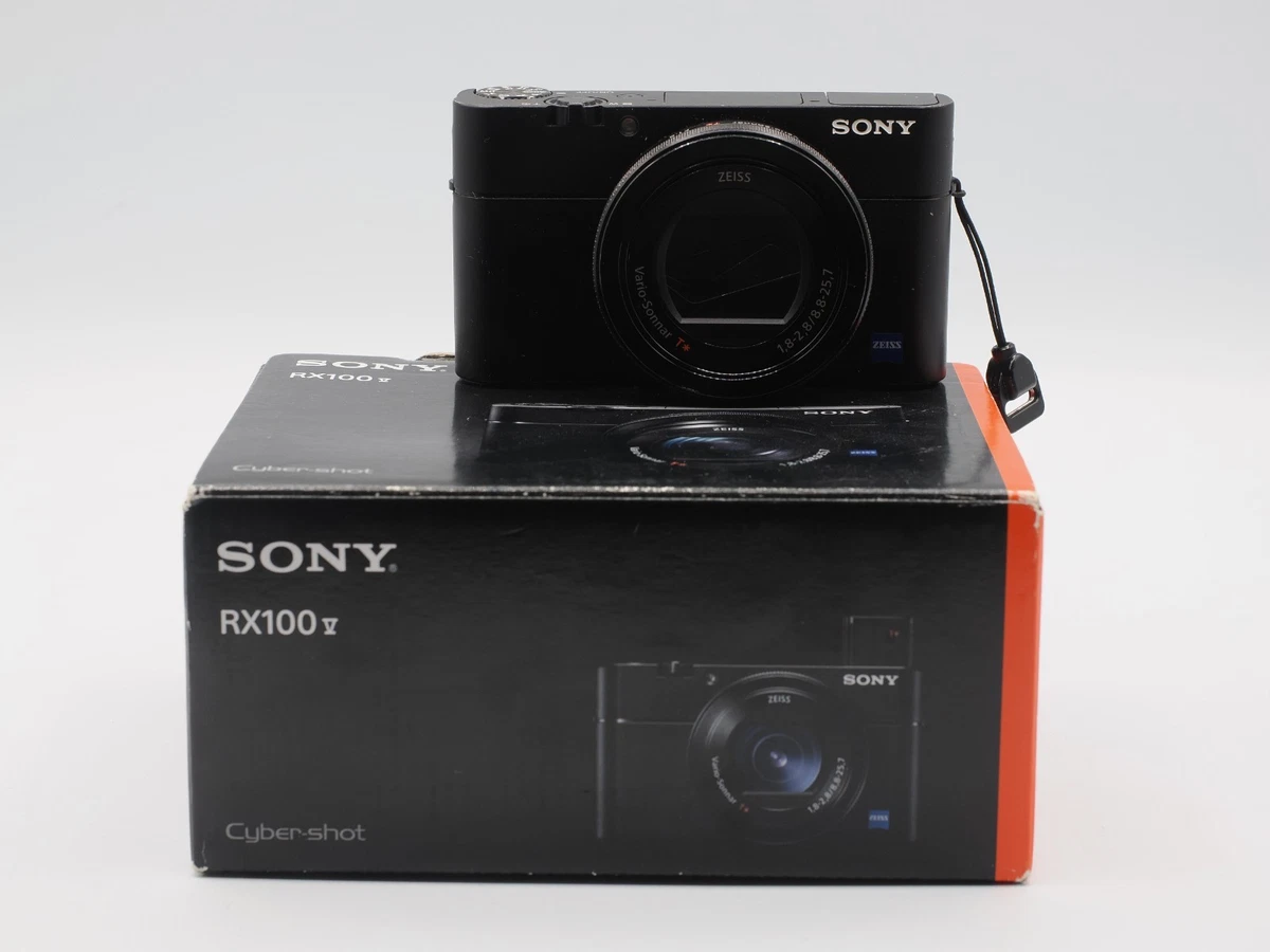 Sony Cyber-shot DSC-RX100 V Less than 3x Optical Zoom Digital