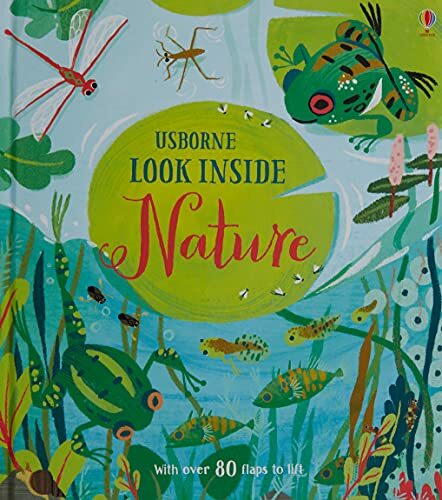 Look Inside Nature: 1 By Minna Lacey,Carolina Buzio