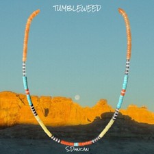 Native American “Bright” Heishi Necklace