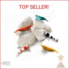 SunGrow Shrimp Rocks, Calcium, Magnesium Rocks for Crayfish, Hermit Crab, Snails