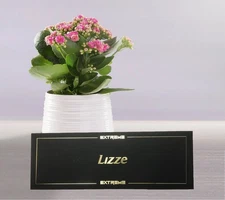 Lizze Extreme Professional 480F Hair Straightener Nano Titanium Flat Iron NEW