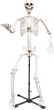 7.9Ft/240Cm Giant Skeleton Life Size Skeleton with Metal Adjustable Stand for Ha