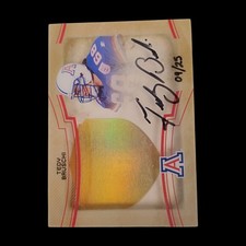 2013 Upper Deck Exquisite Tedy Bruschi Shadowbox Auto /25 Autograph