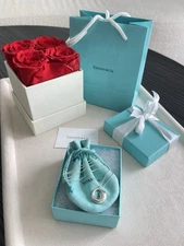 Tiffany & Co. Elsa Peretti Eternal Circle Necklace in Silver 18.5” NEW $550