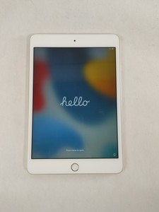 iPad Mini 4 Wi-Fi 16GB | eBay
