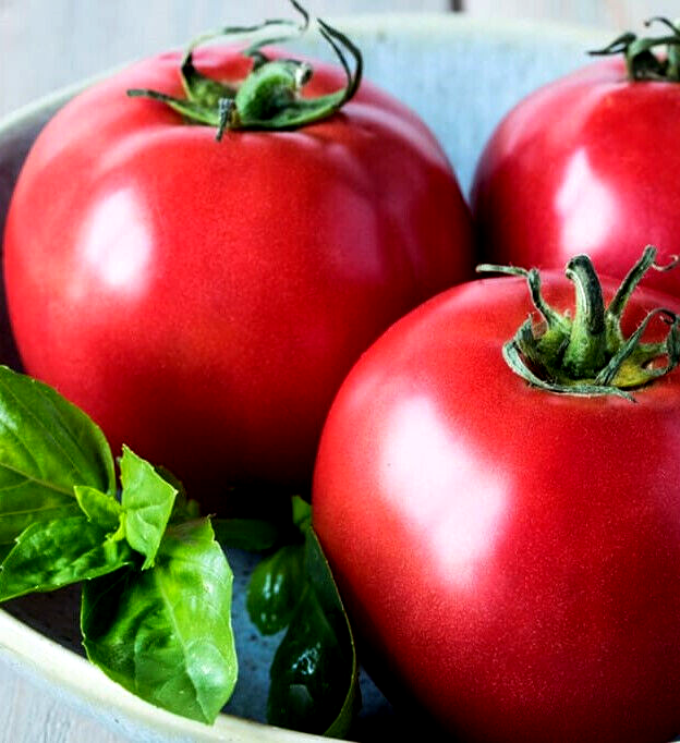 プッチトマト★ Chef's Choice Pink Hybrid Tomato Seeds - 25 Seeds | eBay