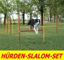AGILITY-ÜBUNGS-HÜRDEN/SLALOM-STANGEN-SET IN ROT/GELB - ORIGINAL WUZZMANN