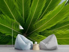 3D Green Plants Close-up Wall Murals Wallpaper Murals Wall Sticker