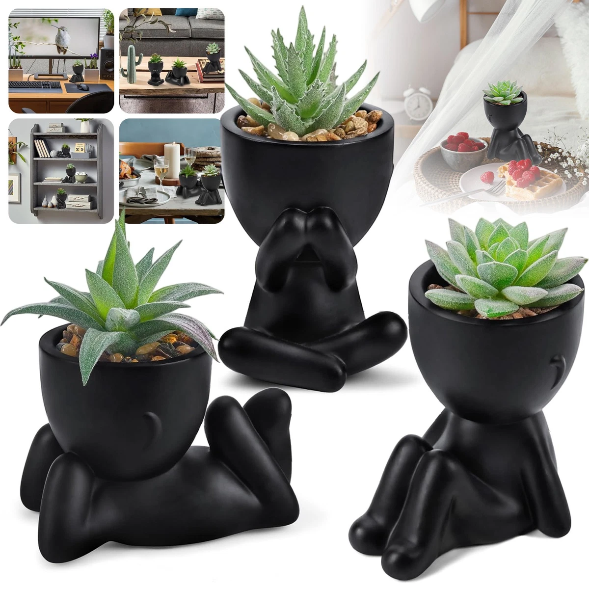 Knstliche Mini-Sukkulenten online kaufen | eBay.de
