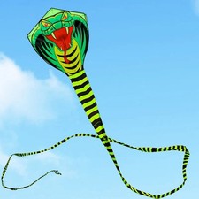 2022 Large Trilobite Snake Kite 3d Parafoil Huge Beach Kites Long Tail Easy Fly.