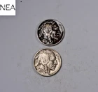 1936+1936-D Buffalo Nickel Set/Lot ~ Almost Uncirculated AU ~ ZBL25
