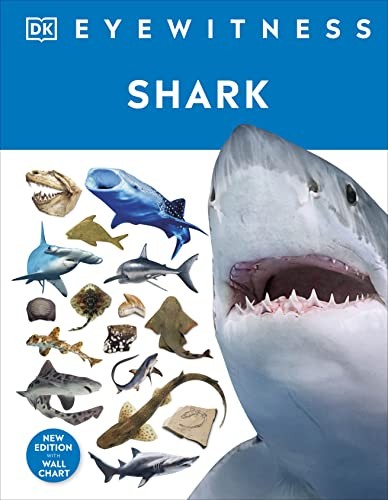 Shark: DK Eyewitness - Image 4