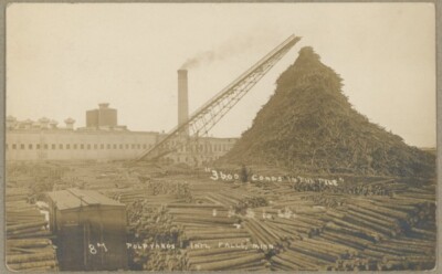 * KILLER * Early Real Photo Postcard - Pulp Yard - International Falls Minn.