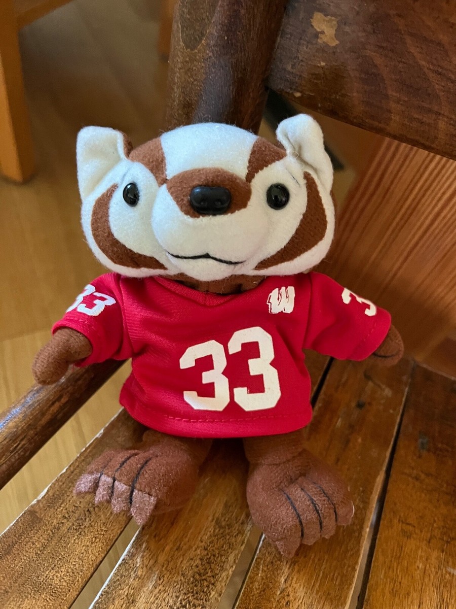 Stadium Sports Small Cute University of Wisconsin Madison BUCKY