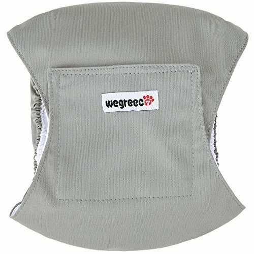 wegreeco belly bands