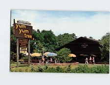 Postcard Yum Yum Tree Wellfleet Massachusetts USA