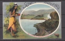 NEW ZEALAND, c1910 ppc. Scenes in Maoriland, North Express nearing Port Chalmers