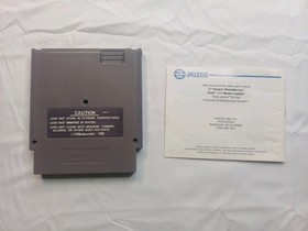 Astyanax NES Game With Manual, No Box, Tested Works