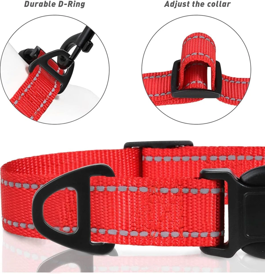 Collare per Cani in Nylon Riflettente, Fibbia Staccabile Durevole, Collari Di Si - Immagine 3 di 4