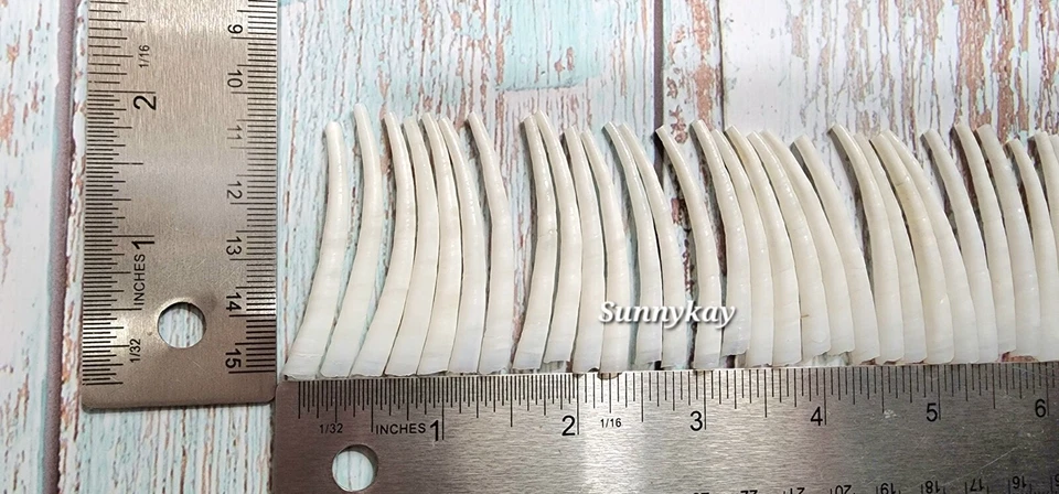 40 piezas de carcasas dentales lisas de 1,75 pulgadas Foto 3 de 4