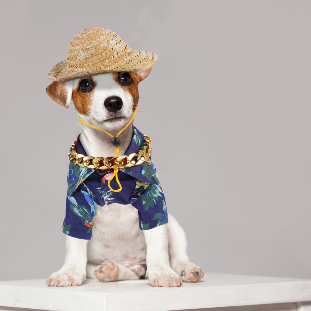 3 Pcs Accessori Cane Vestiti Per Cani Decorazioni Feste Animali Domestici