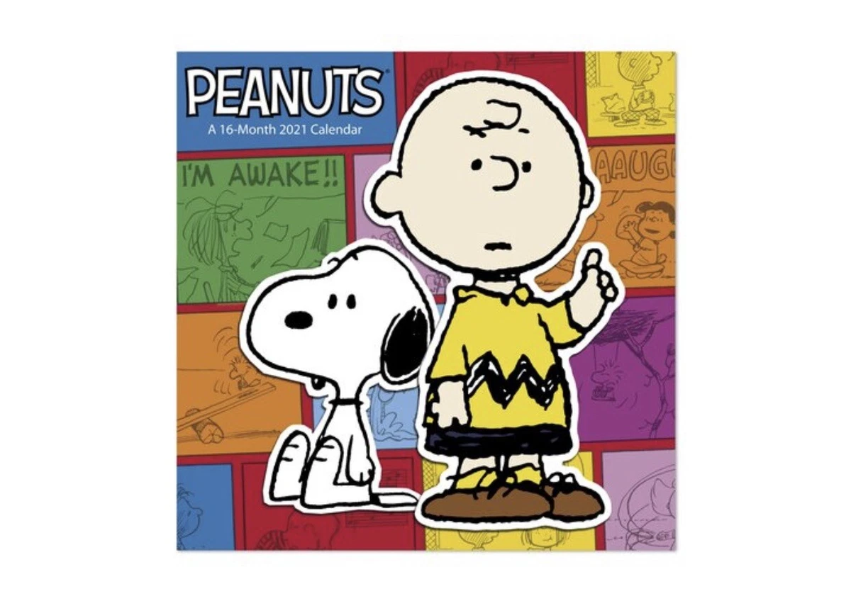 Peanuts by WorldWide LLC A 16 Month 2021 Calendar 9780735347786 | eBay