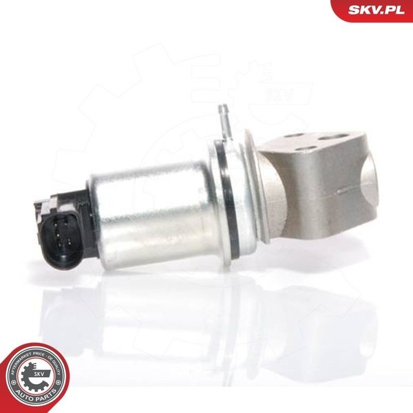 Esen Skv Agr-Ventil 14SKV016 FüR Seat Skoda Vw-image