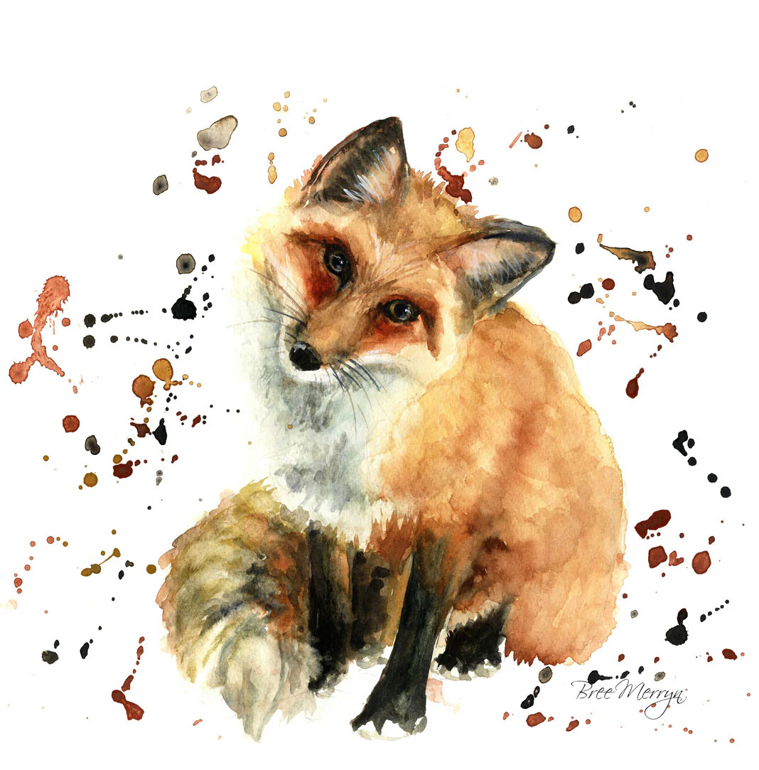 Bree Merryn  Box Canvas Print Freddie Fox 40cm x 40cm