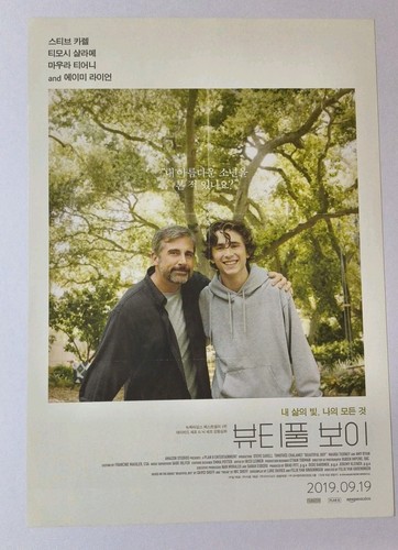 Beautiful Boy mini poster(Korean version) flyer Timothee Chalamet