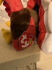 Bild 5 von 11