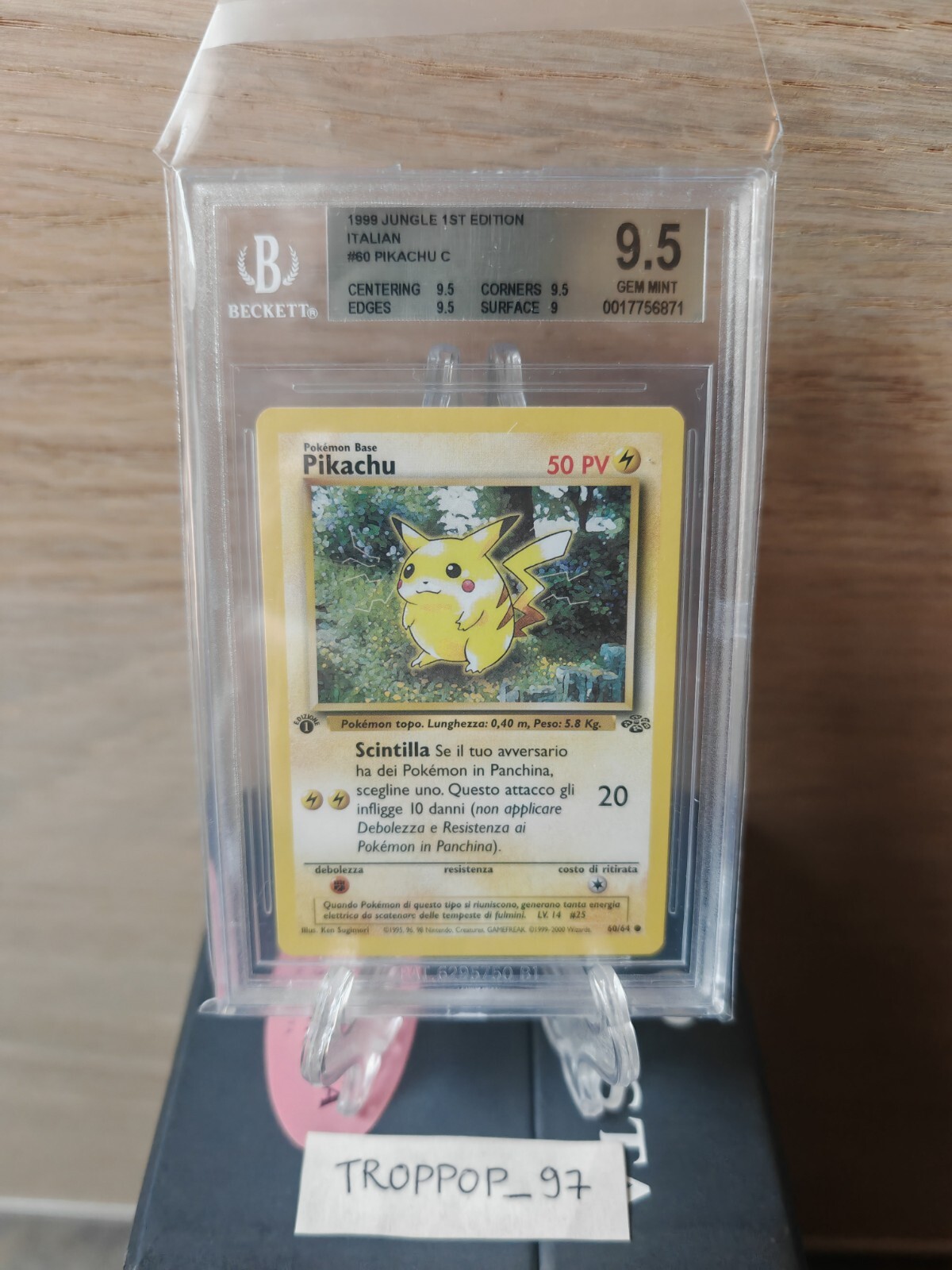 Foto 1 di 2