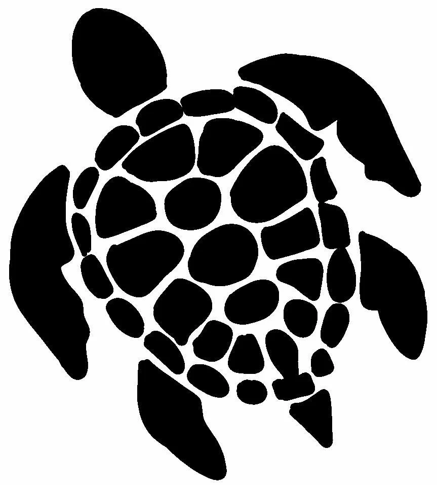 Turtle decal deals
